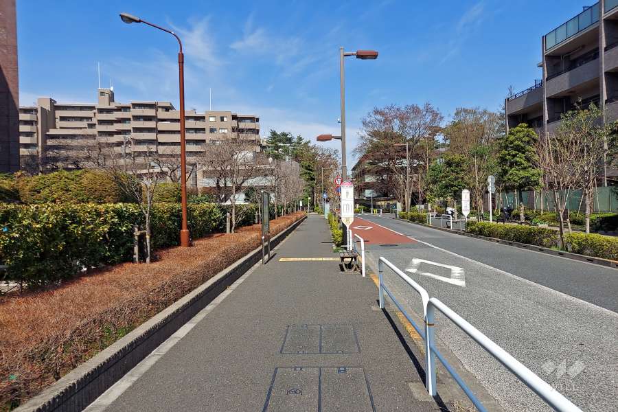 敷地東側の前面道路（南側から）