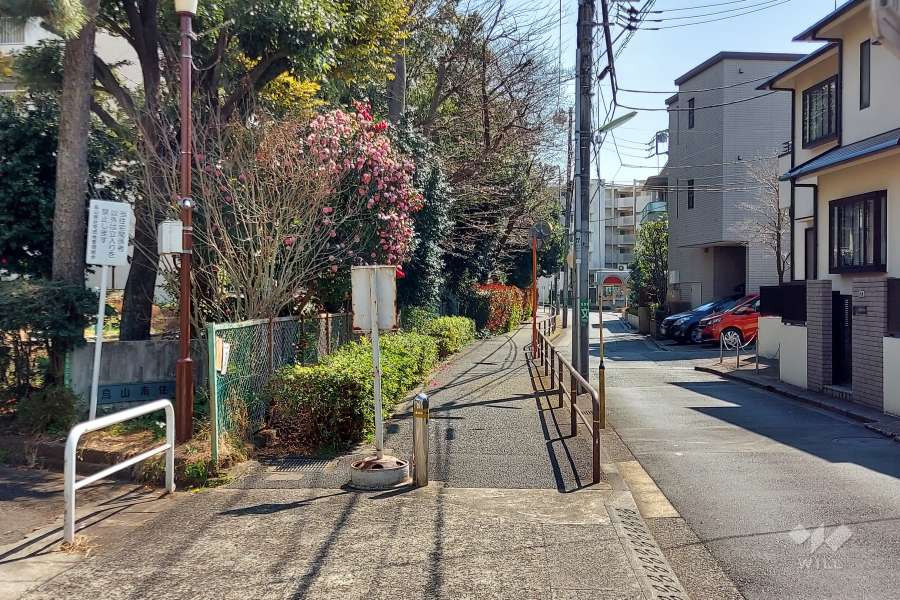 敷地西側の前面道路（北側から）