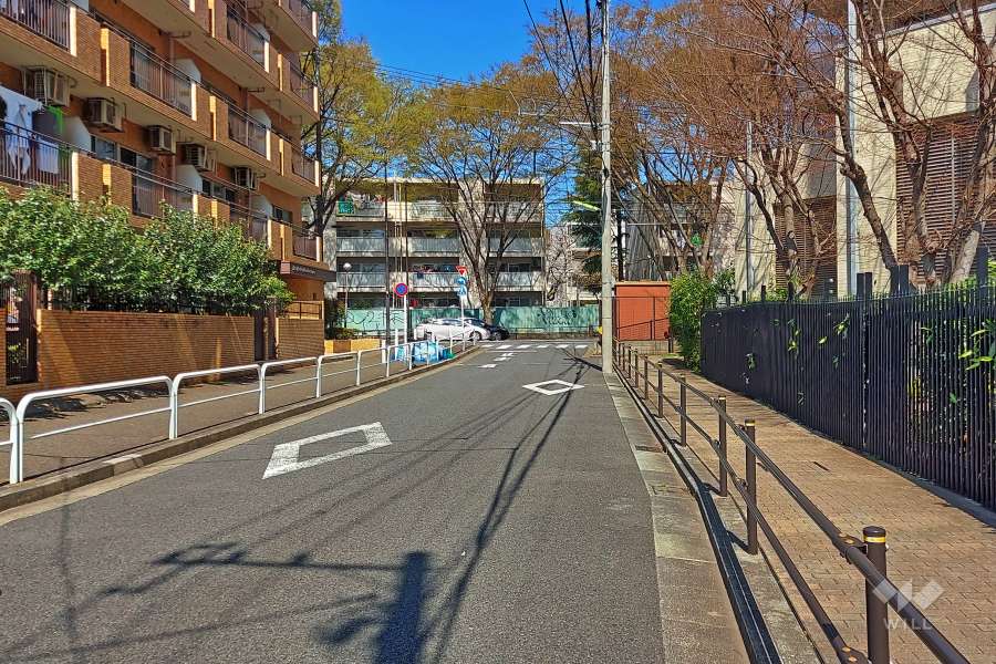 敷地西側の前面道路(南側から)