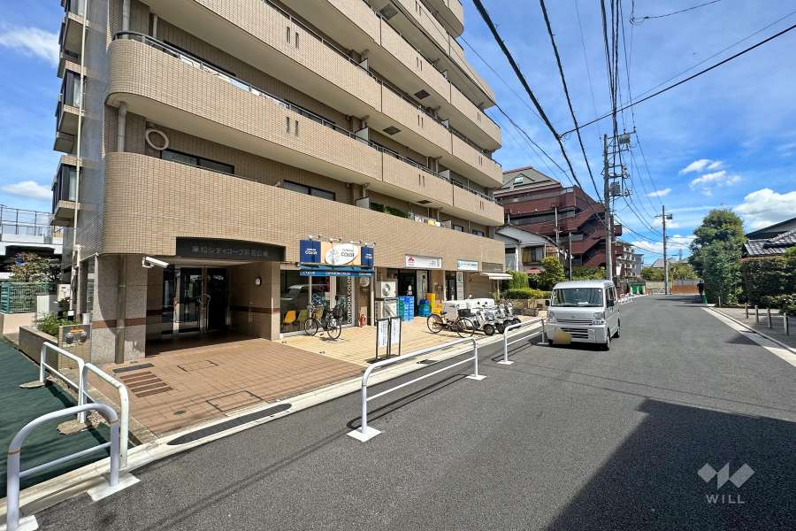 敷地南側の前面道路（西側から）