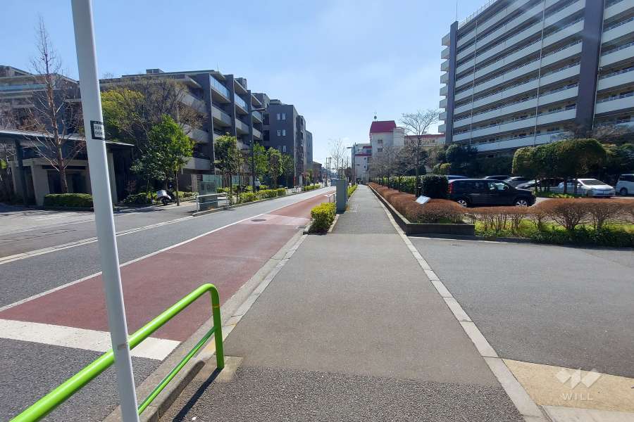 敷地東側の前面道路(南側から)