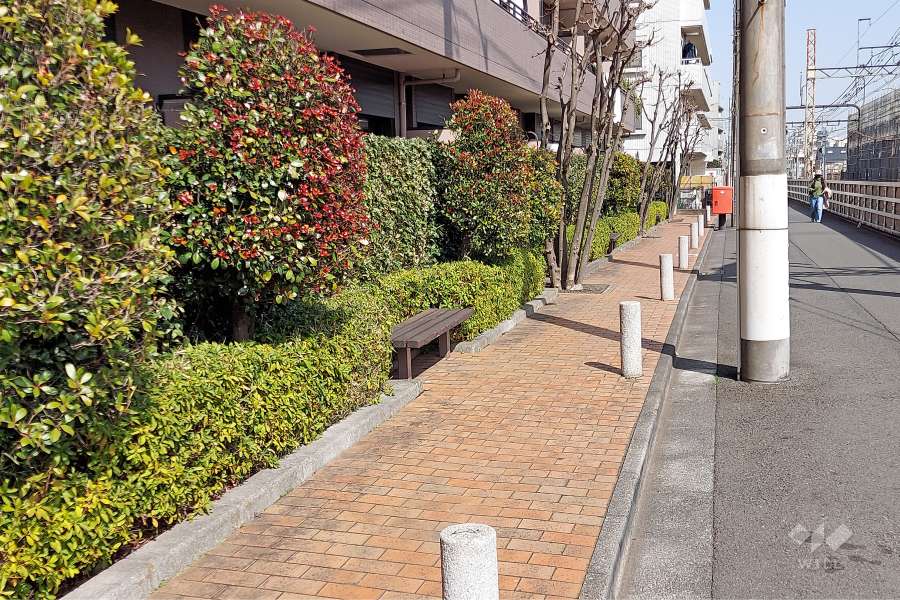 敷地南側の前面道路（西側から）
