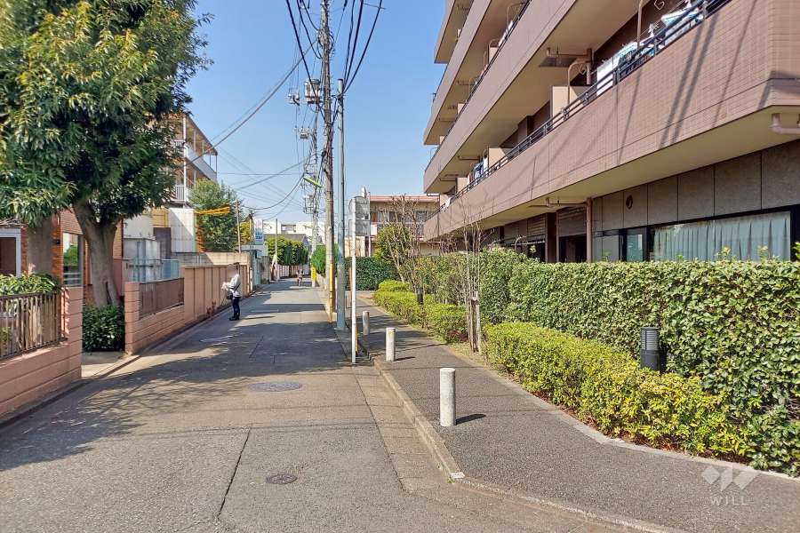 敷地西側の前面道路（南側から）