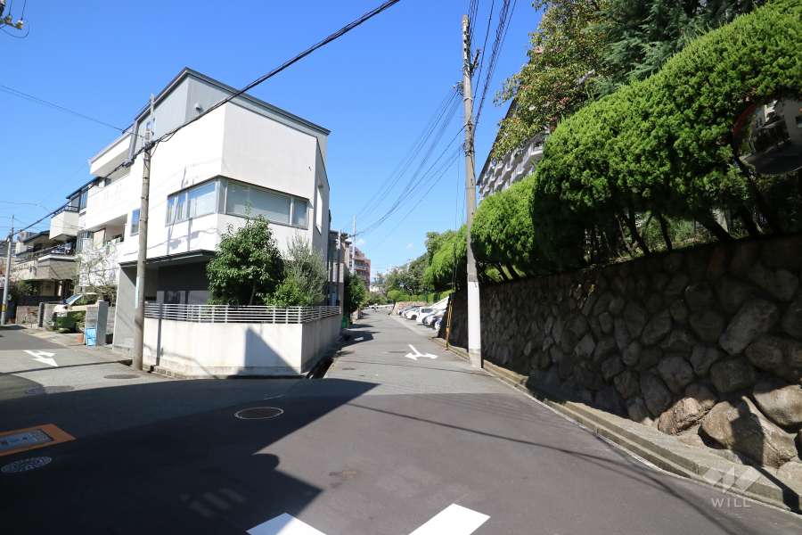 敷地南西側の前面道路（南東側から）
