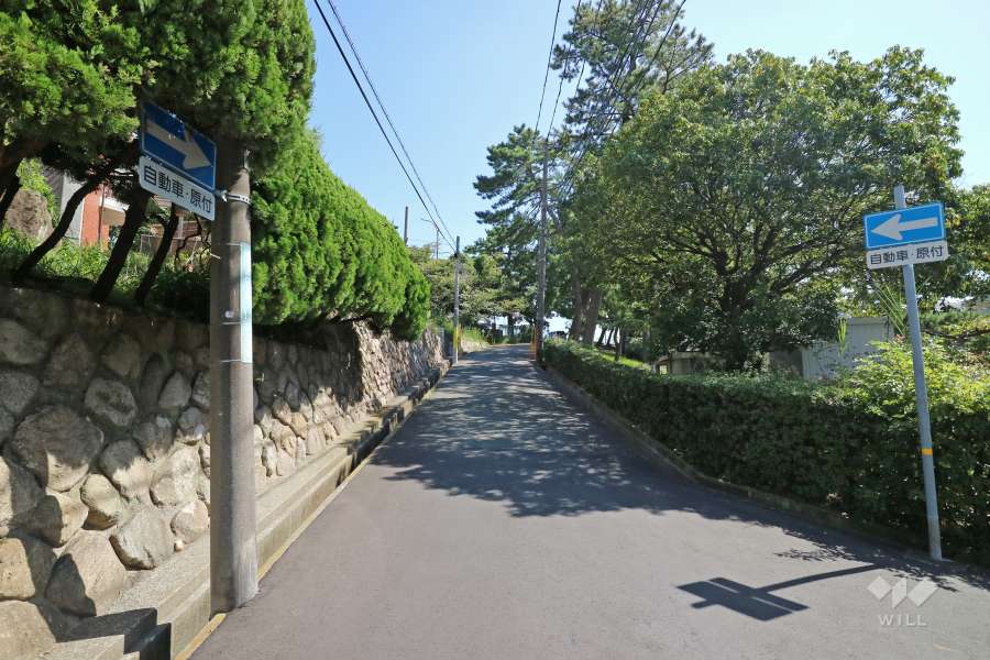 敷地南側の前面道路（西側から）