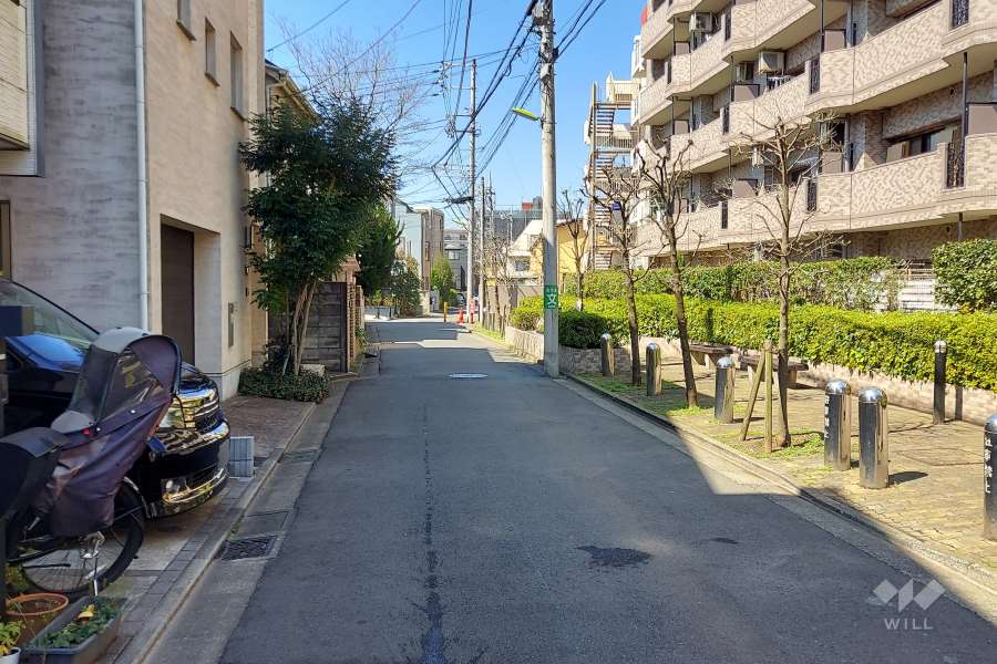 敷地南側の前面道路(東側から)