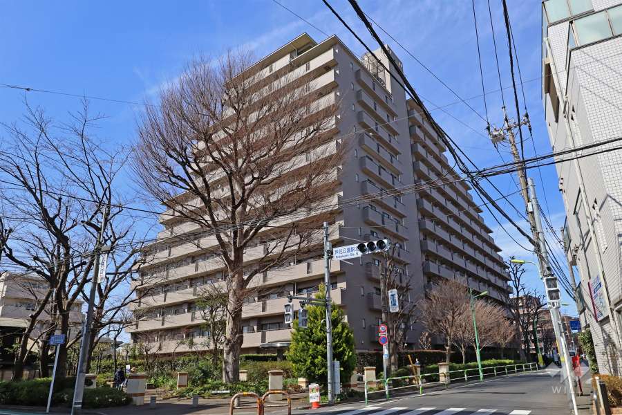 芦花公園パークホームズの外観（南東側から）