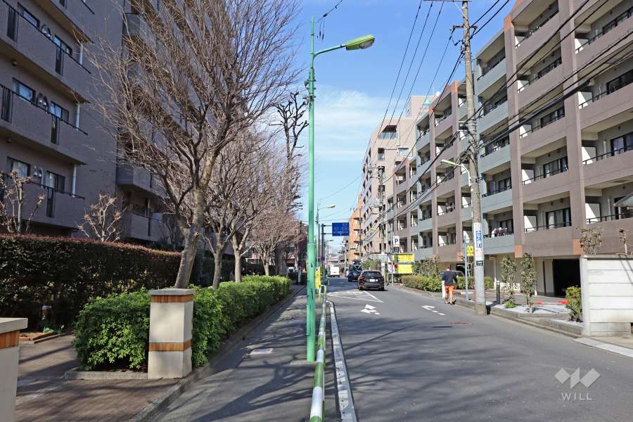 敷地東側の前面道路（南側から）