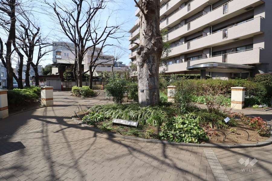 敷地内の遊歩道