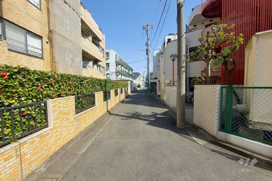 敷地南側の前面道路（西側から）