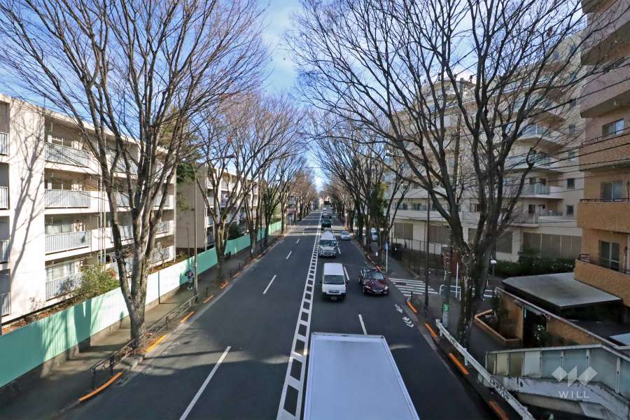 敷地北東側前面道路(北西側から)