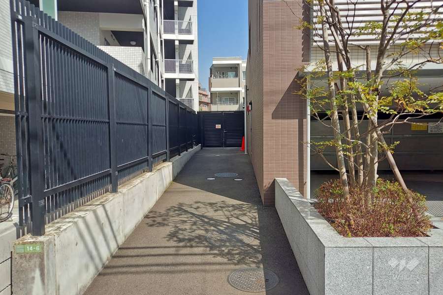 敷地内の北側通路