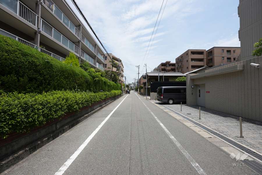 敷地南側の前面道路（西から）