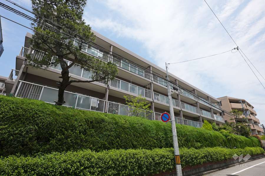 甲子園口ビューハイツ南棟の外観（南西から）