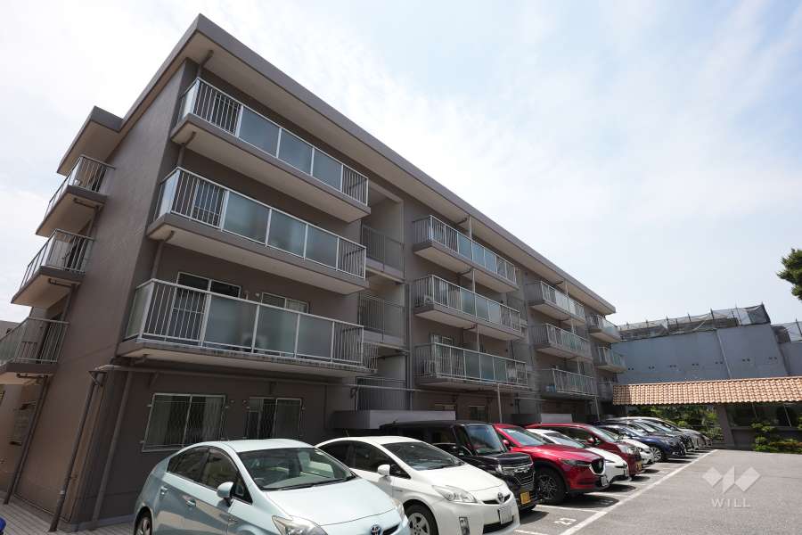 甲子園口ビューハイツ南棟の外観（北東から）