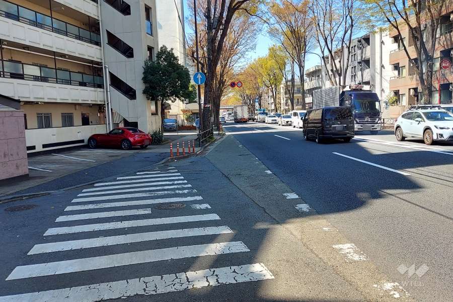 敷地北側の前面道路(東側から)