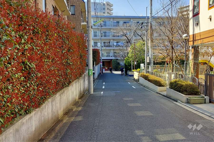 敷地東側の前面道路(南側から)