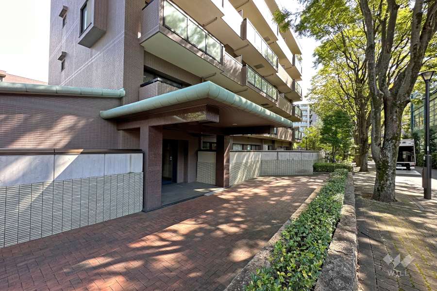 エントランス　アプローチ