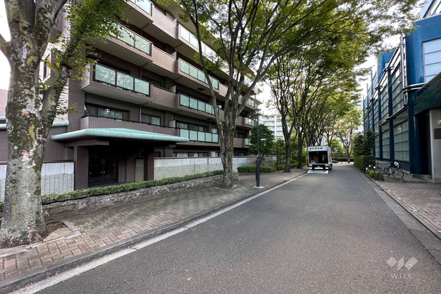 敷地の西前面道路（北側から）