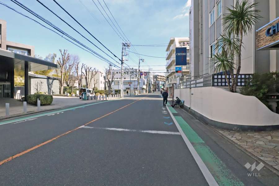 敷地南側前面道路は旧甲州街道です(西側から)。