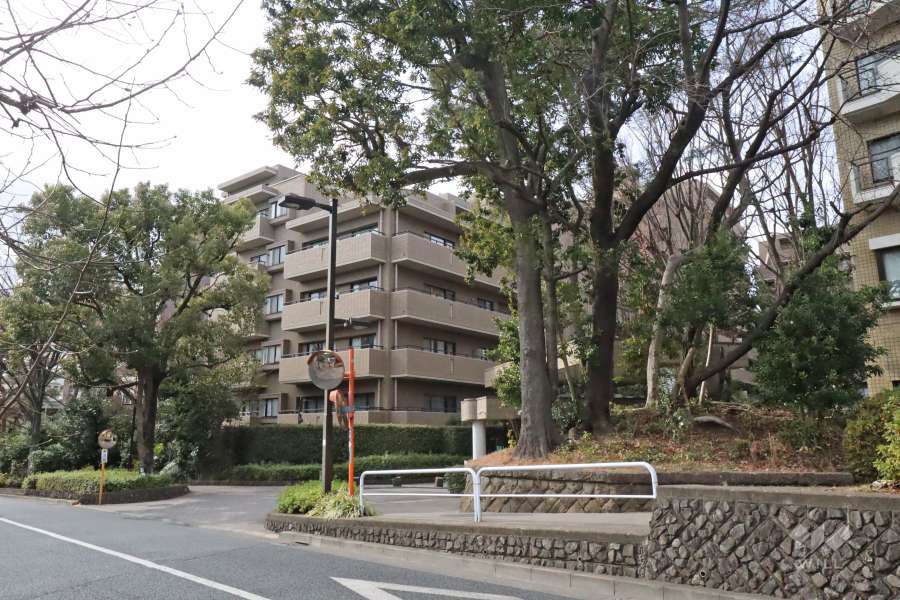 芦花公園プレスティージュの外観(北東側から)