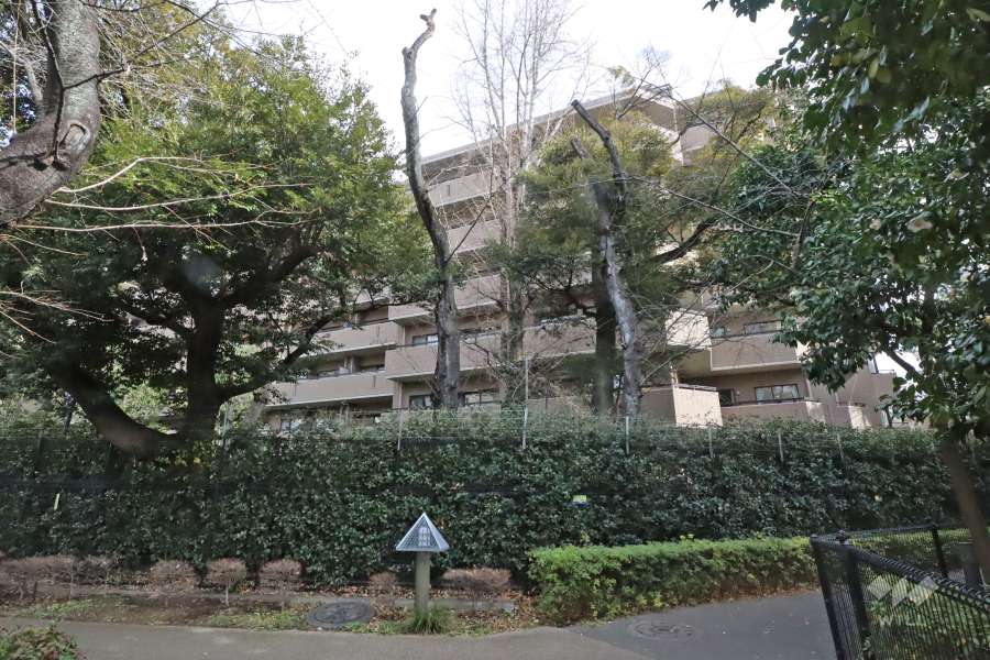 芦花公園プレスティージュの外観(南西側から)