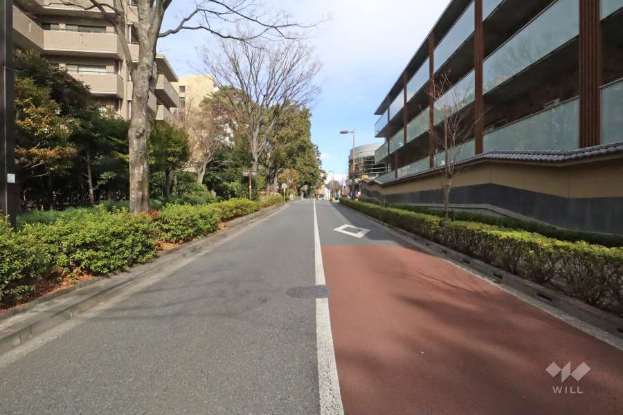 敷地東側の前面道路（南側から）