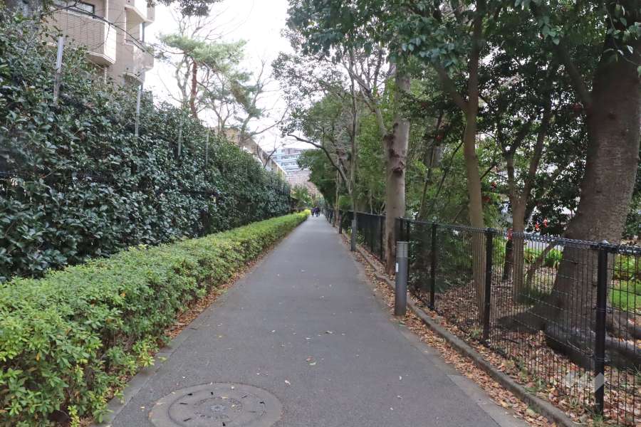 敷地南側の前面道路（西側から）