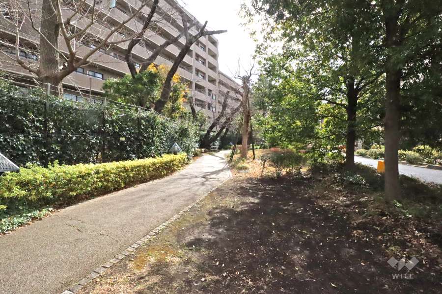 敷地西側の前面道路（北側から）