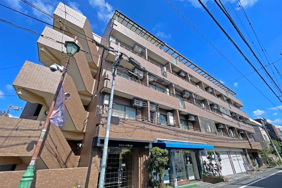 カテリーナ梅ヶ丘の外観（南西側から）