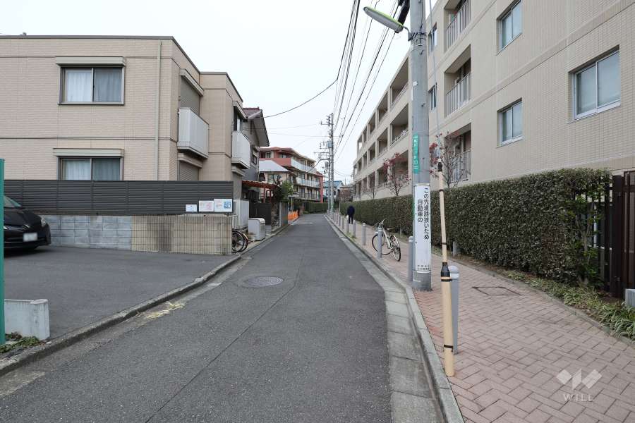 敷地西側の前面道路（南側から）