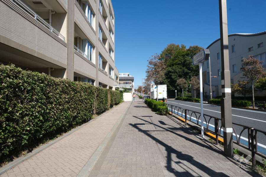 敷地東側の前面道路（南側から）