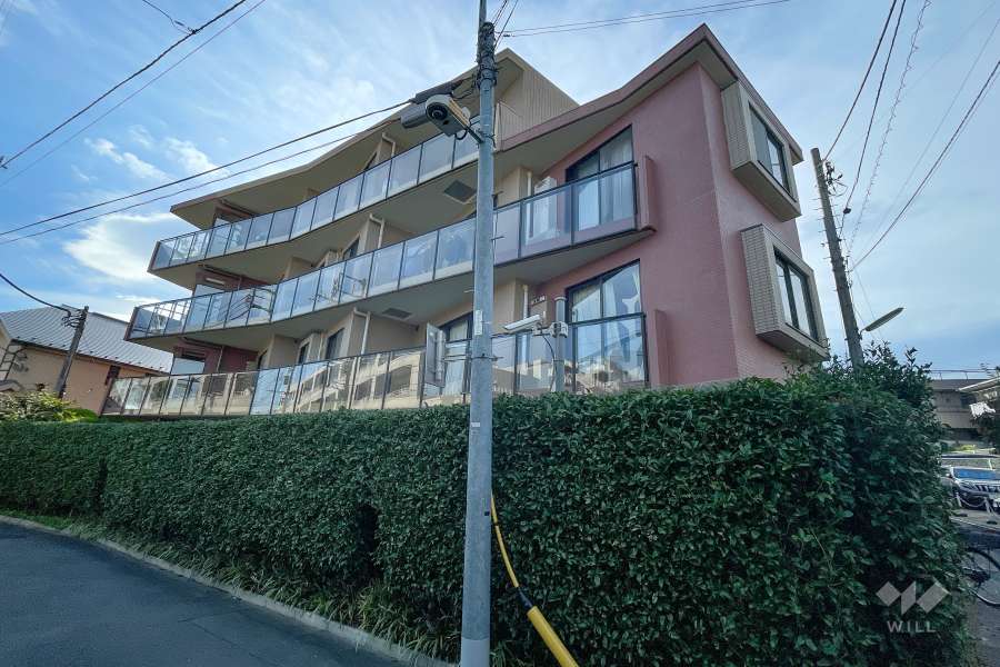 アルシオン豪徳寺の外観（北東側から）