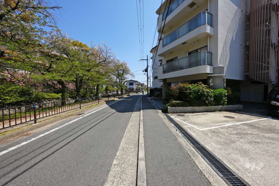 敷地北側の前面道路（北西側から）