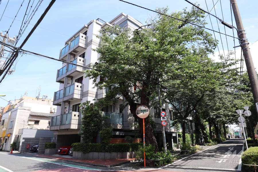 サンクタス千歳烏山の外観（北西側から）