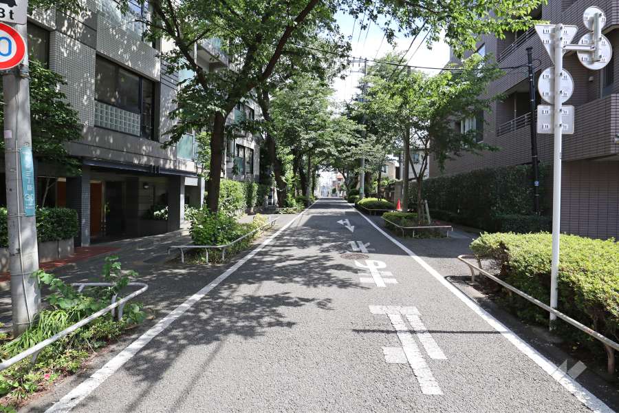 敷地西側の前面道路（北側から）