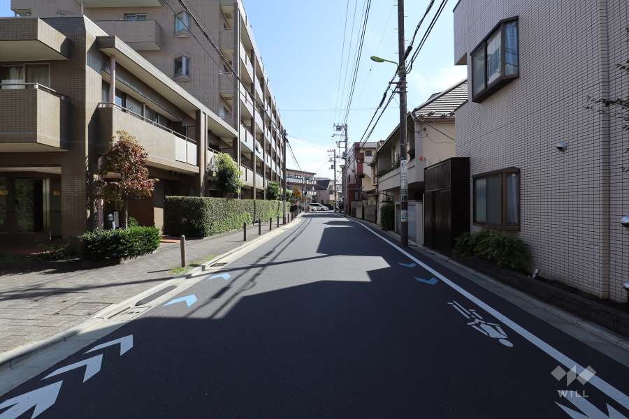 敷地の西側前面道路（北側から）