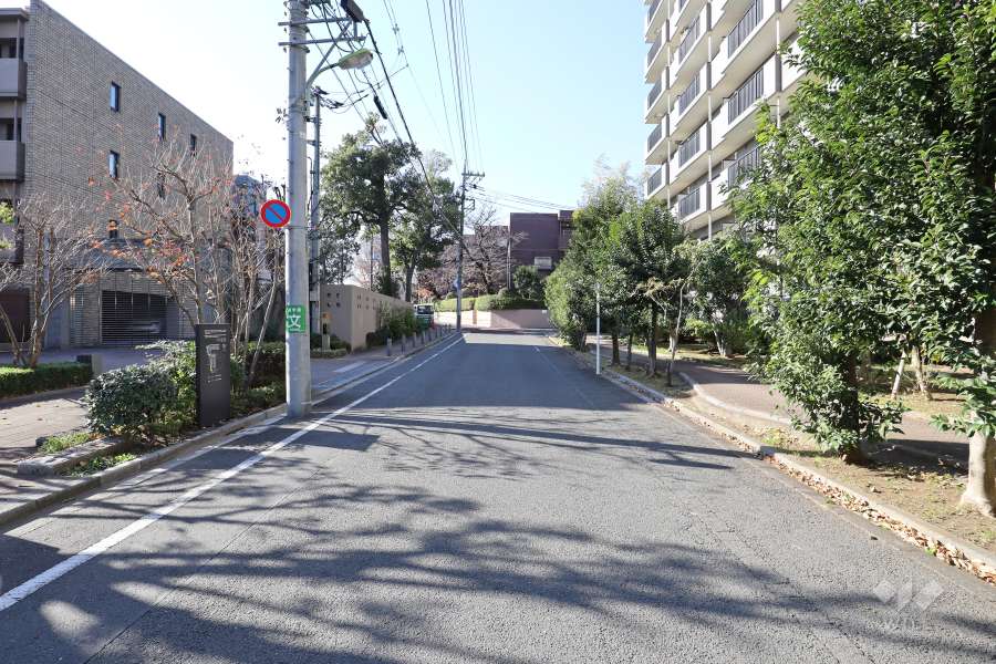 敷地北側の前面道路　