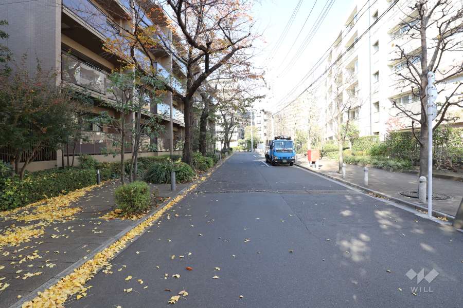 敷地東側の前面道路　