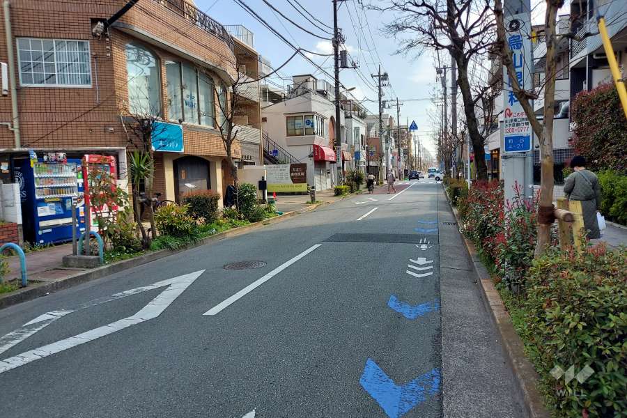 敷地西側の前面道路(北側から)