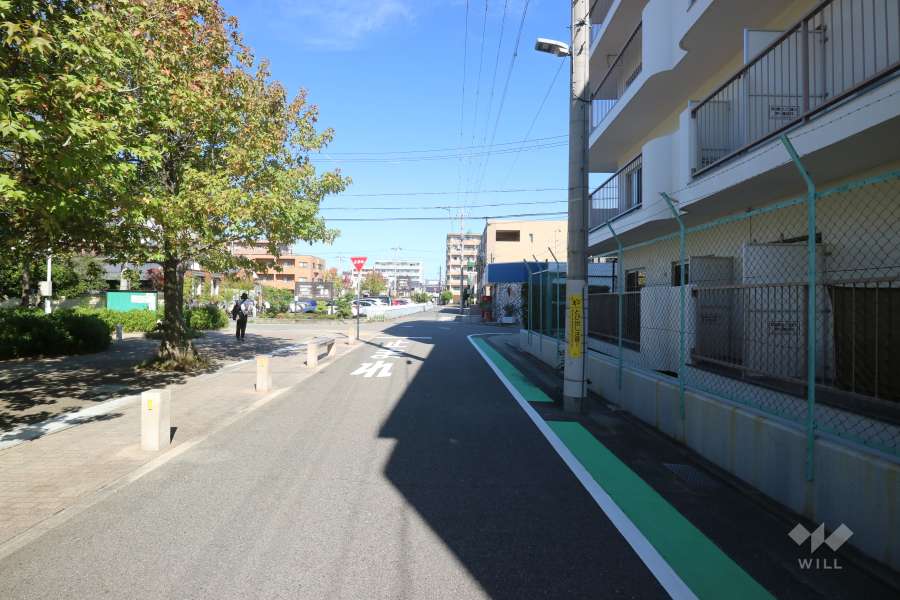 敷地西側の前面道路（南側から）