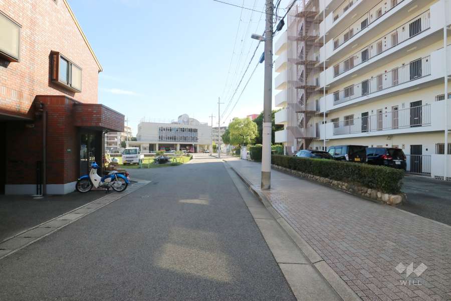 敷地北側の前面道路（西側から）