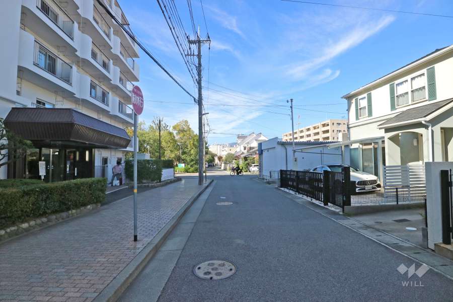 敷地北側の前面道路（東側から）