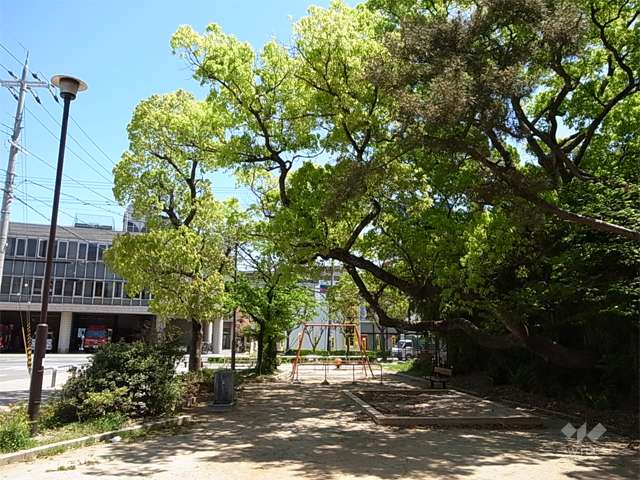 敷地東側には『高木東第一公園』と熊野神社があり、緑豊かです。
