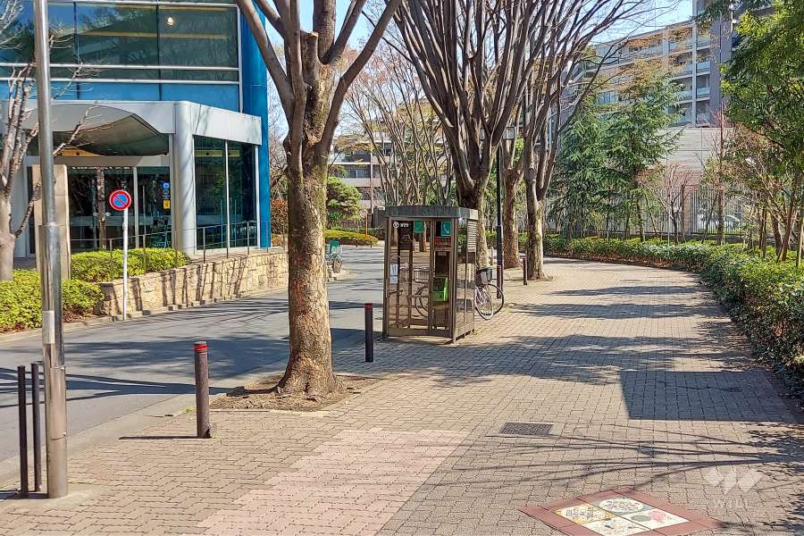 敷地北側の前面道路