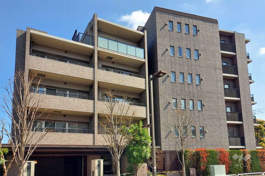 蘆花公園ザレジデンスフォレストコートの外観(西側から)