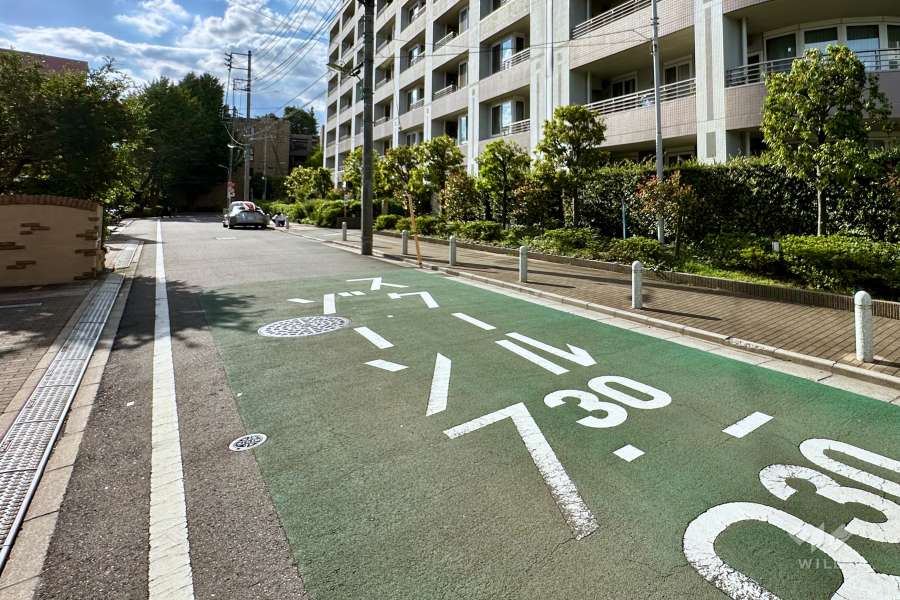 敷地南側の前面道路（東側から）