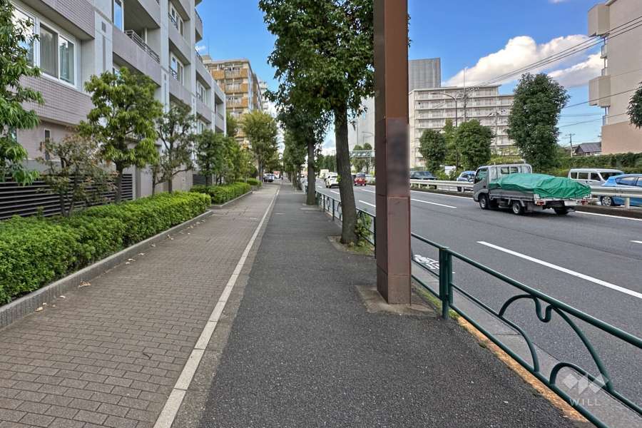 敷地東側の前面道路（南側から）