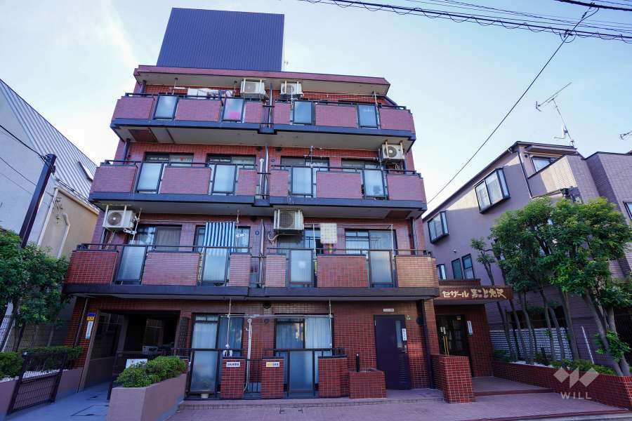 セザール第二上北沢の外観（東側から）