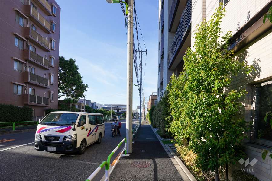 敷地西側の前面道路（南側から）